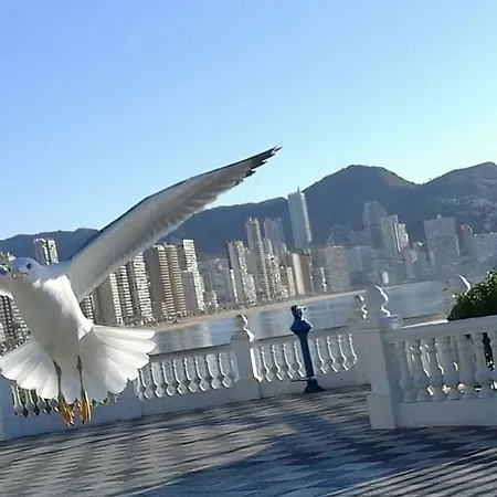 Apartamento Acuarium Lux