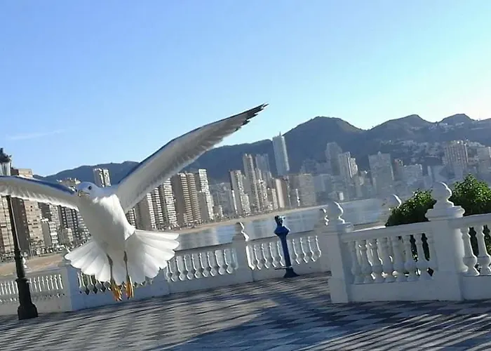 شقة Acuarium Lux